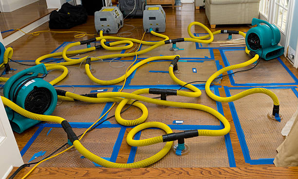 Professional Burst Pipe Water Damage technician working in Petrolia, PA